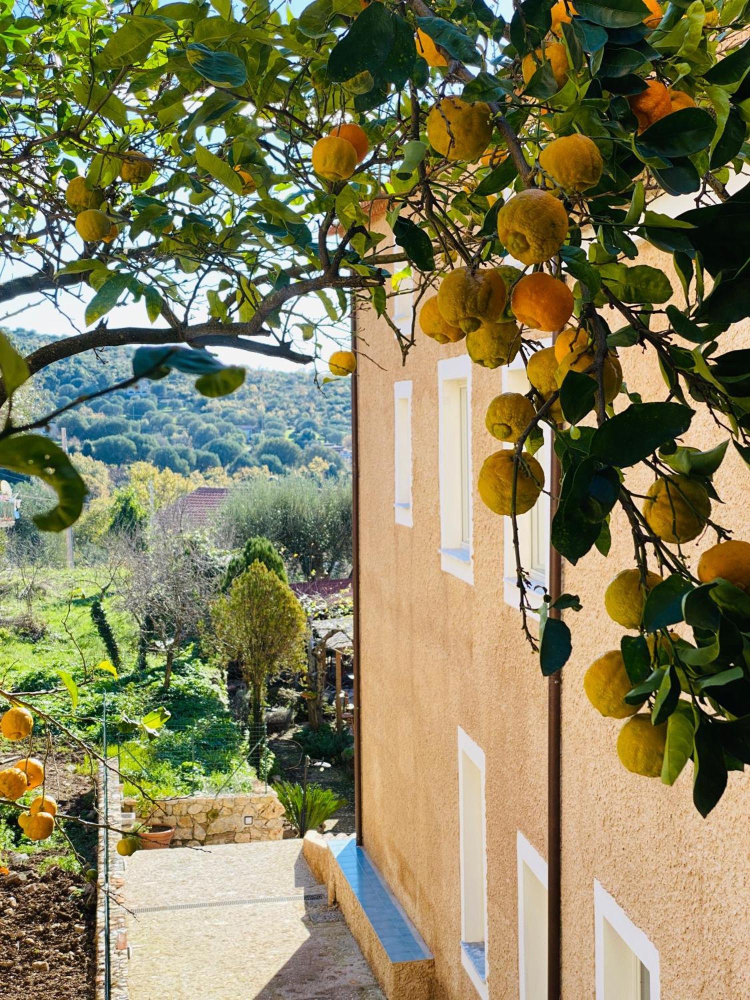 La Locanda Del Curato Rooms Lentiscosa Esterno foto